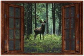 Poszterek 60x40 Szarvas Erdő Tájkép