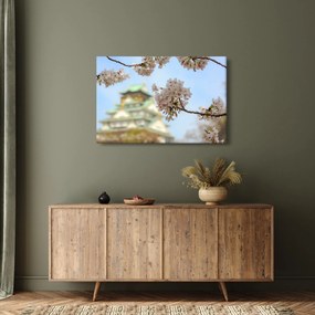 Kép - Sakura (90x60 cm)