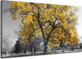 Vászonkép Fekete fák Sárga levelek 120x70 cm Ideális ajándék