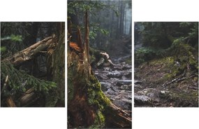 Kép - Az erdőben (90x60 cm)