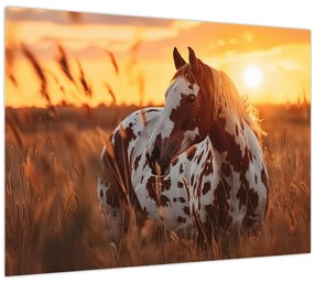Üveg kép - Ló naplementében (70x50 cm)