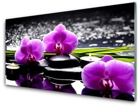 Modern üvegkép Virág orchidea növény 120x60cm 2 fogas