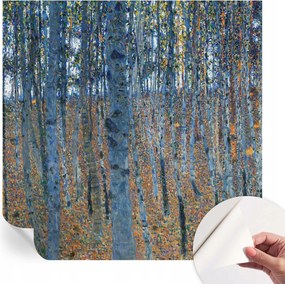 Dekoratív öntapadós fotótapéta Hálószobába Nyírerdő 250x250 cm