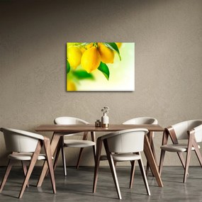 A citrom képe (70x50 cm)