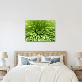 Üveg kép - Makro kép egy növényről (70x50 cm)