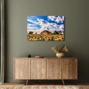 Napraforgó mező képe (90x60 cm)