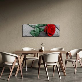 Kép - Piros rózsa zöld szárral (órával) (90x30 cm)