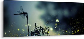 Kép - szitakötő a csillogó éjszakában (120x50 cm)