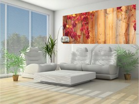 Fotótapéta Őszi levelek fa meleg textúra 250x104 színek szezon +ragasztó