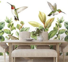 Öntapadó tapéta kolibrik és levelek