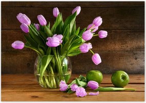 Poszterek 100x70 Lila tulipánok