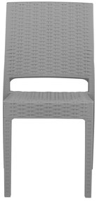 Szék szett 2db Fossil (világosszürke). 1011528