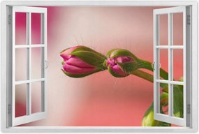 Poszterek 90x60 Finom fánkok Virágok