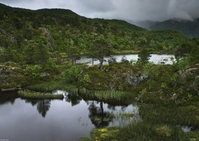 Poszter 42x29,7cm Norvég fjord 5, Assaf Frank