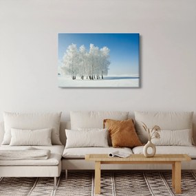 Egy havas táj képe (90x60 cm)