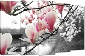 Vászonkép 150x95 Magnólia Virágok