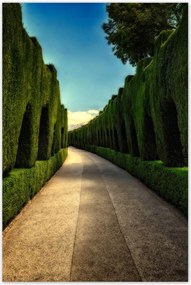 Poszterek 80x120 Tájkép Látvány