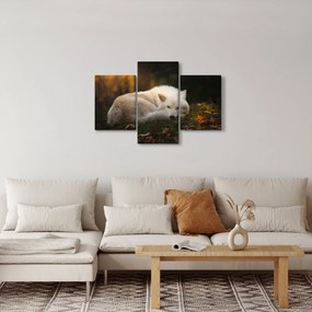 Kép - Pihenő farkas (90x60 cm)