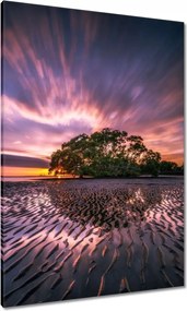 Vászonkép 70x100 Gyönyörű lila tájkép