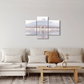 Kép - Szerelmes hattyúk (90x60 cm)