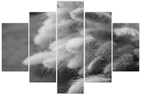 Kép - nyúlfarknyi fű az asztalon (150x105 cm)