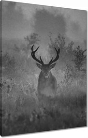 Vászonkép 60x80 Szarvas a ködben