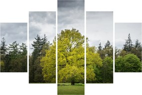 Egy zöld fa képe a mező közepén (150x105 cm)