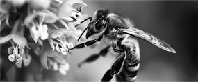 Kép - A méh részlete (120x50 cm)