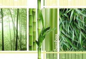 Bamboo poszter, fotótapéta, Vlies (104 x 70,5 cm)