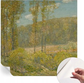 Öntapadós tapéta Divatos 3D fali ragasztó Erdei tájkép 250x250 cm