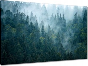 Vászonkép 120x80 Erdő a ködben Utazás