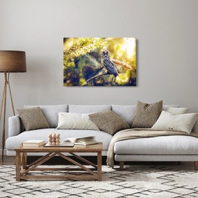 Egy bagoly képe a fán (90x60 cm)