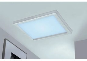 Briloner 7371-014 - LED dimmelhető mennyezeti lámpa LED/24W/230V 3000-6500K+ DO