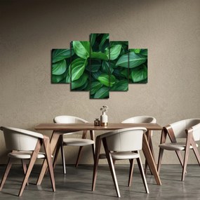 Kép - Zöld levelek (150x105 cm)