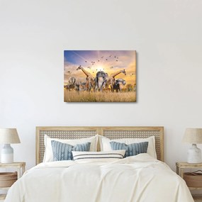 Kép - Afrikai állatok (70x50 cm)