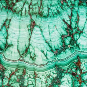 Flizelin tapéta Divatos 3D fali ragasztóval Zöld minták 250x250 Ragasztó