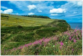 Poszterek 120x80 Virágos rét a tengerparton