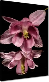 Vászonkép 70x100 Nőnap Ajándék Love