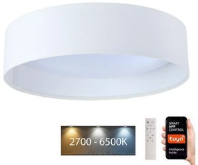 BPS Koncept LED Dimmelhető lámpa SMART GALAXY LED/36W/230V á. 55 cm Wi-Fi Tuya + távirányító BS0606