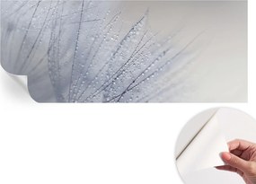 Modern fotótapéta Öntapadós Mosható Pitypang gyöngyös 250x104 cm