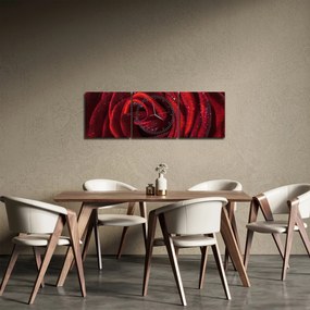 Kép - Vörös rózsa harmatcseppekkel (órával) (90x30 cm)