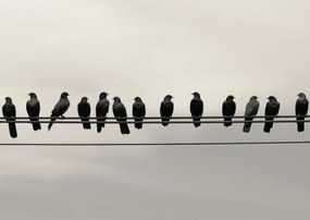 Poszter 59,4x42cm Konferencia a Magasságban