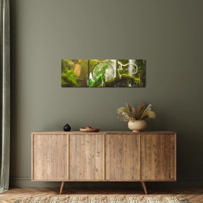 Gyík képe (órával) (90x30 cm)