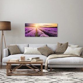 Kép - Napfelkelte levendulamezőn (120x50 cm)