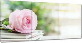 Vászonkép 120x60 Nőnap Ajándék Love