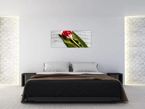 Egy vörös tulipán képe (120x50 cm)