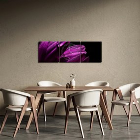 Kép - Vízcsepp (órával) (90x30 cm)