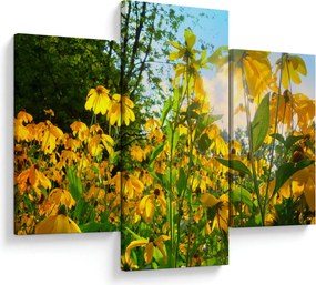 Sárga virágok képe (90x60 cm)