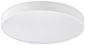Top Light-LED Fürdőszobai mennyezeti lámpa PETAL LED/48W/230V IP44 átm. 48 cm fehér + távirányító