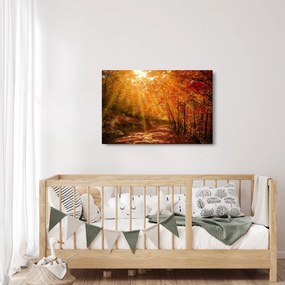 Őszi erdő képe (90x60 cm)